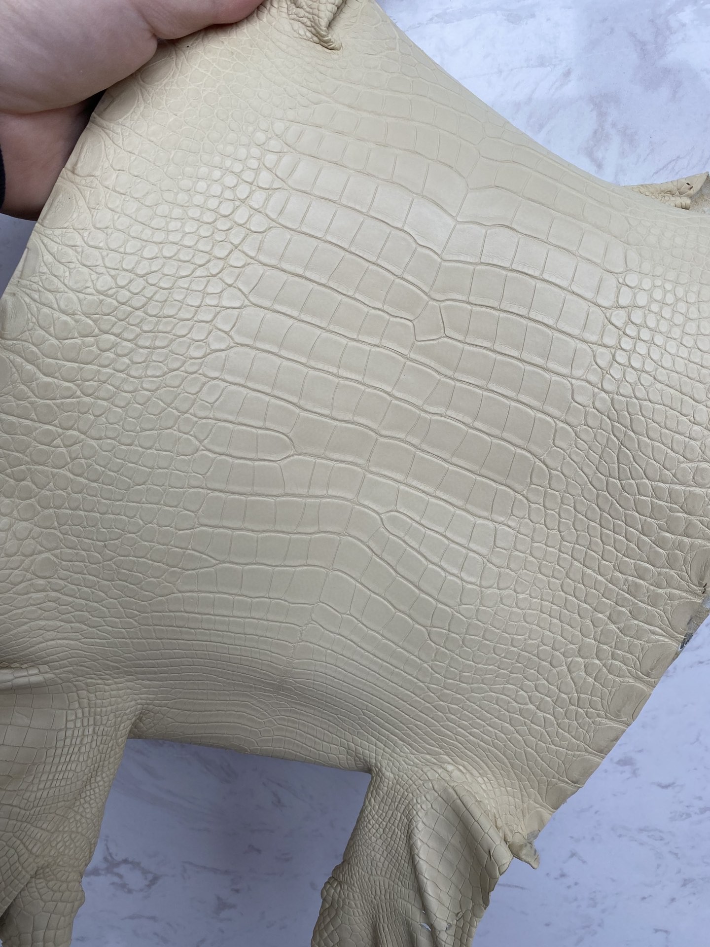 Hermès(爱马仕)新到鳄鱼 雾面鳄 香草色 可定制-拉尔森鳄鱼皮具定制 - 爱马仕包包官网 Hermès(爱马仕)新到鳄鱼 雾面鳄 香草色 可定制