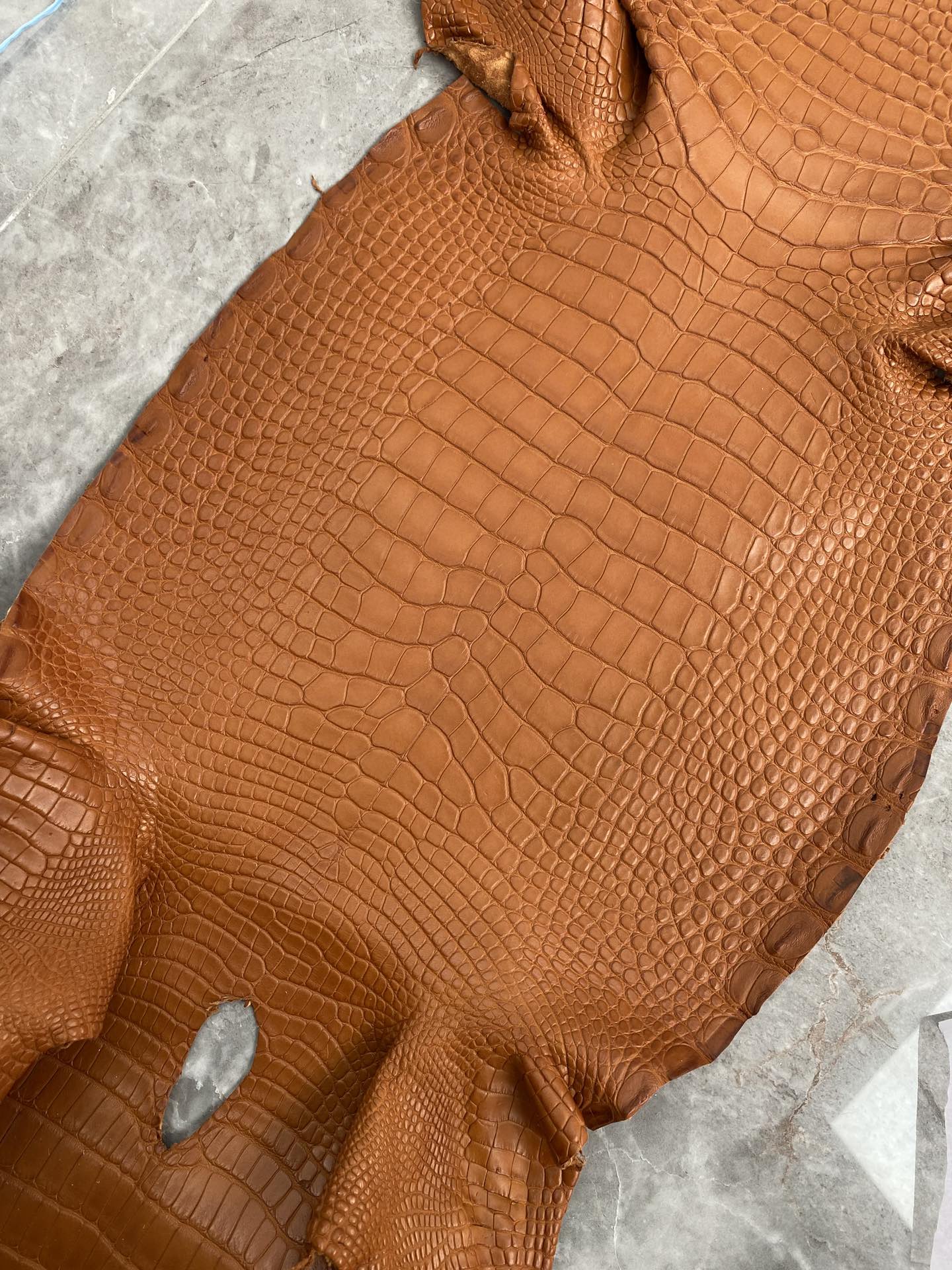 Hermès（爱马仕）新到鳄鱼 雾面鳄 红土色 可定制