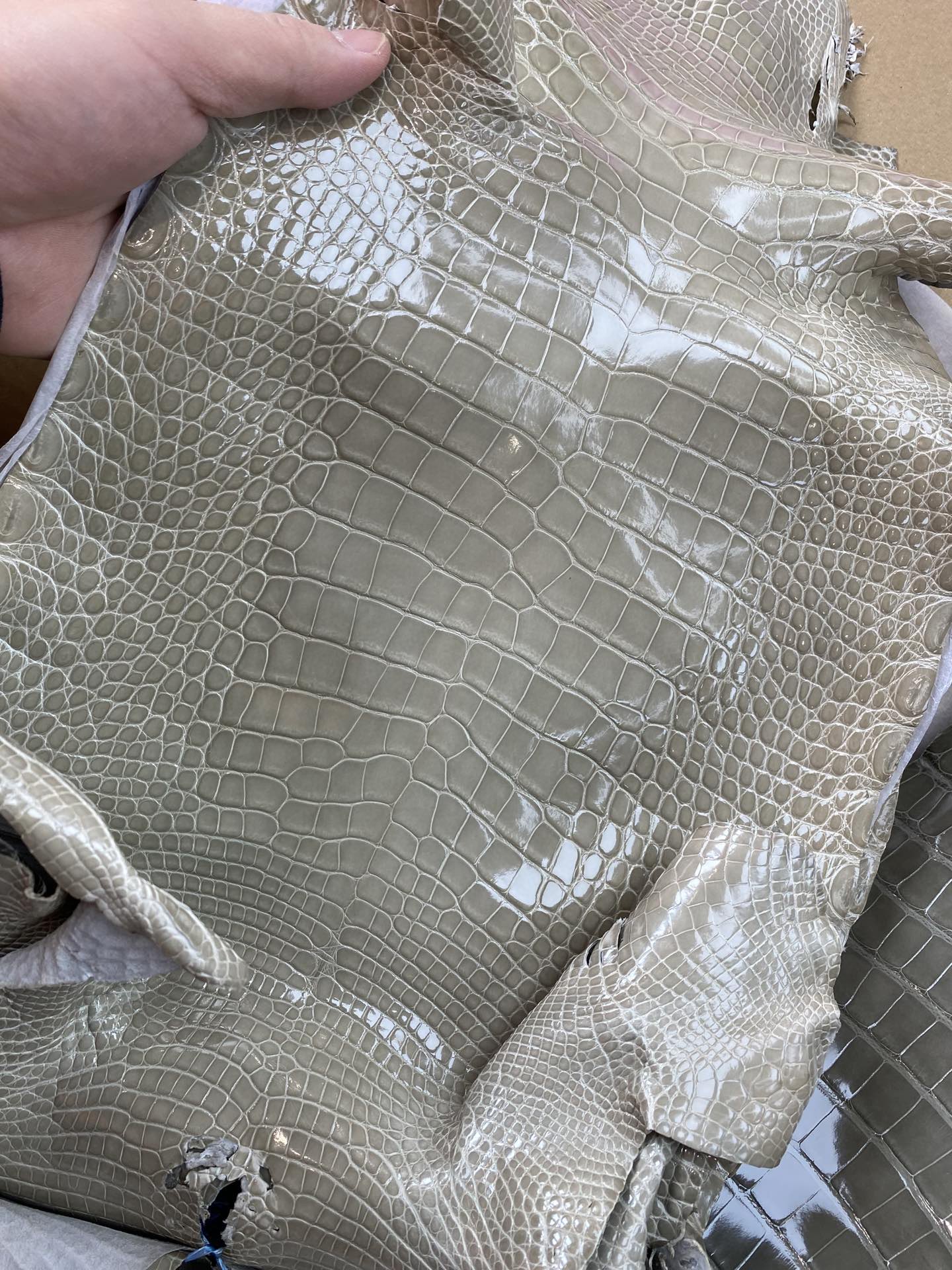 Hermès（爱马仕）新到鳄鱼 ck81 斑鸠灰 Gris T 可定制