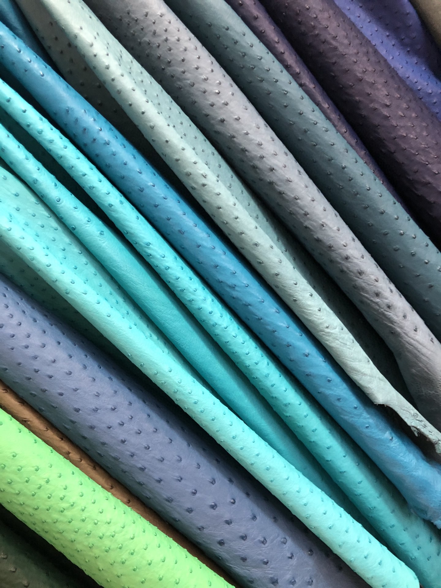 Hermès(爱马仕)Ostrich kk鸵鸟 定制 pochette mini kelly llconstance kelly Birkin-拉尔森鳄鱼皮具定制 - 爱马仕包包官网 Hermès(爱马仕)Ostrich kk鸵鸟 定制 pochette mini kelly llconstance kelly Birkin