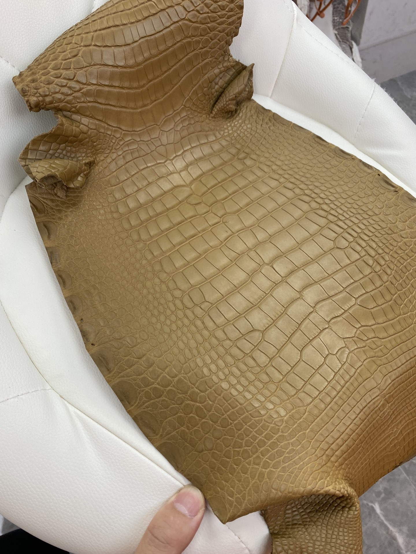 Hermès(爱马仕)新到鳄鱼 Alligator matt 雾面鳄鱼 牛皮纸色-拉尔森鳄鱼皮具定制 - 爱马仕包包官网 Hermès(爱马仕)新到鳄鱼 Alligator matt 雾面鳄鱼 牛皮纸色