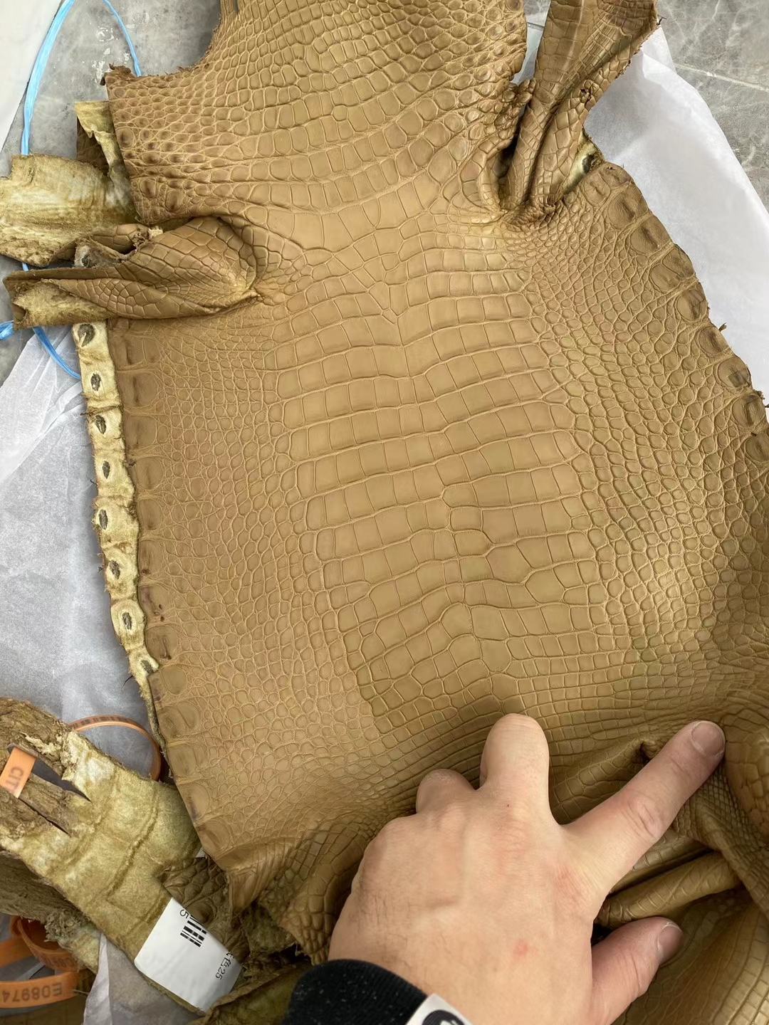 Hermès（爱马仕）新到皮 雾面美洲鳄鱼 2H 牛皮纸色 Matte Alligator Crocodile