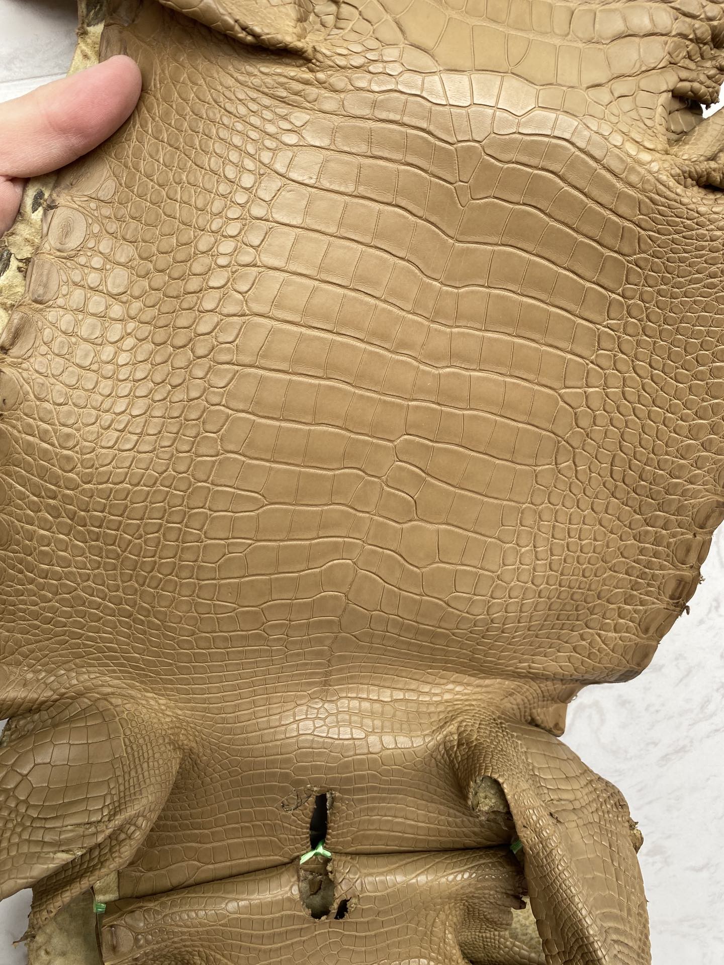 Hermès(爱马仕)新到鳄鱼 雾面鳄 饼干色 可定制-拉尔森鳄鱼皮具定制 - 爱马仕包包官网 Hermès(爱马仕)新到鳄鱼 雾面鳄 饼干色 可定制