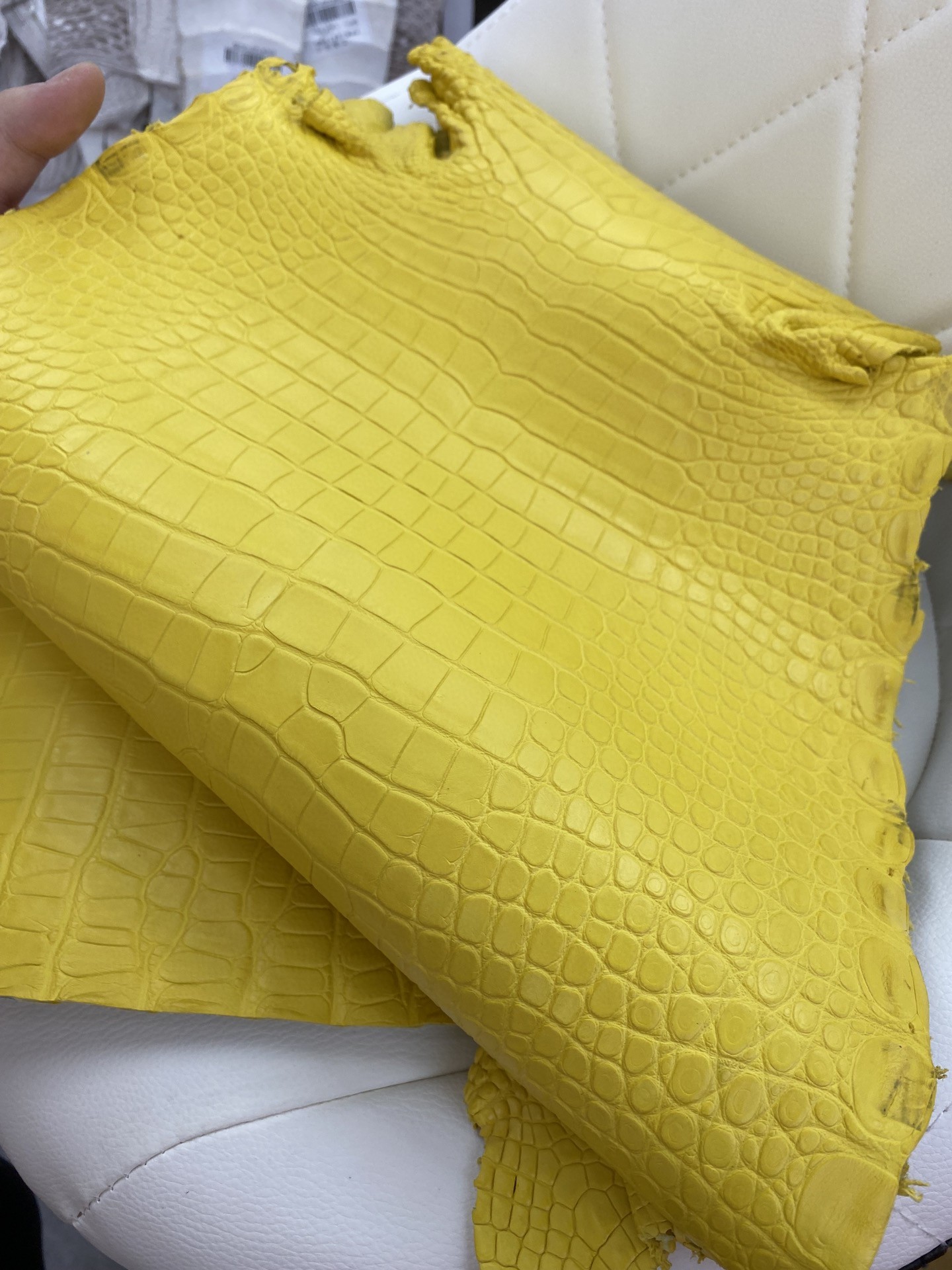 Hermès(爱马仕)新到鳄鱼 Alligator matt 雾面鳄鱼 M9 金盏花黄-拉尔森鳄鱼皮具定制 - 爱马仕包包官网 Hermès(爱马仕)新到鳄鱼 Alligator matt 雾面鳄鱼 M9 金盏花黄