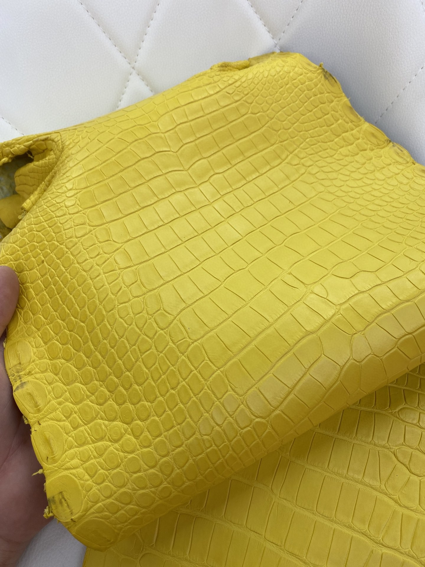 Hermès(爱马仕)新到鳄鱼 Alligator matt 雾面鳄鱼 M9 金盏花黄-拉尔森鳄鱼皮具定制 - 爱马仕包包官网 Hermès(爱马仕)新到鳄鱼 Alligator matt 雾面鳄鱼 M9 金盏花黄