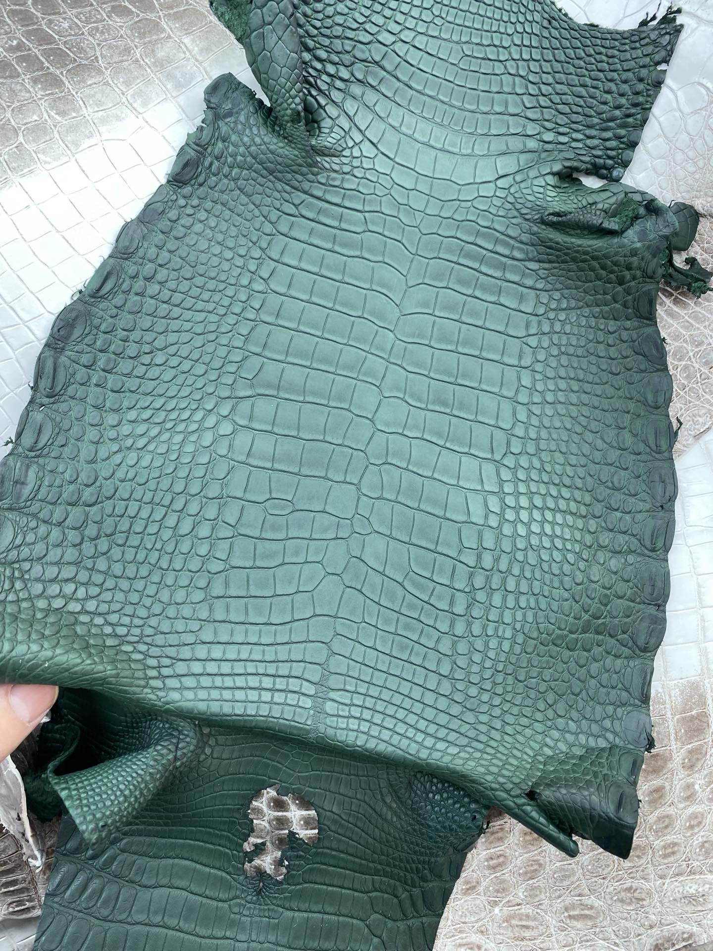 Hermès（爱马仕）新到鳄鱼 雾面鳄 孔雀绿 可定制