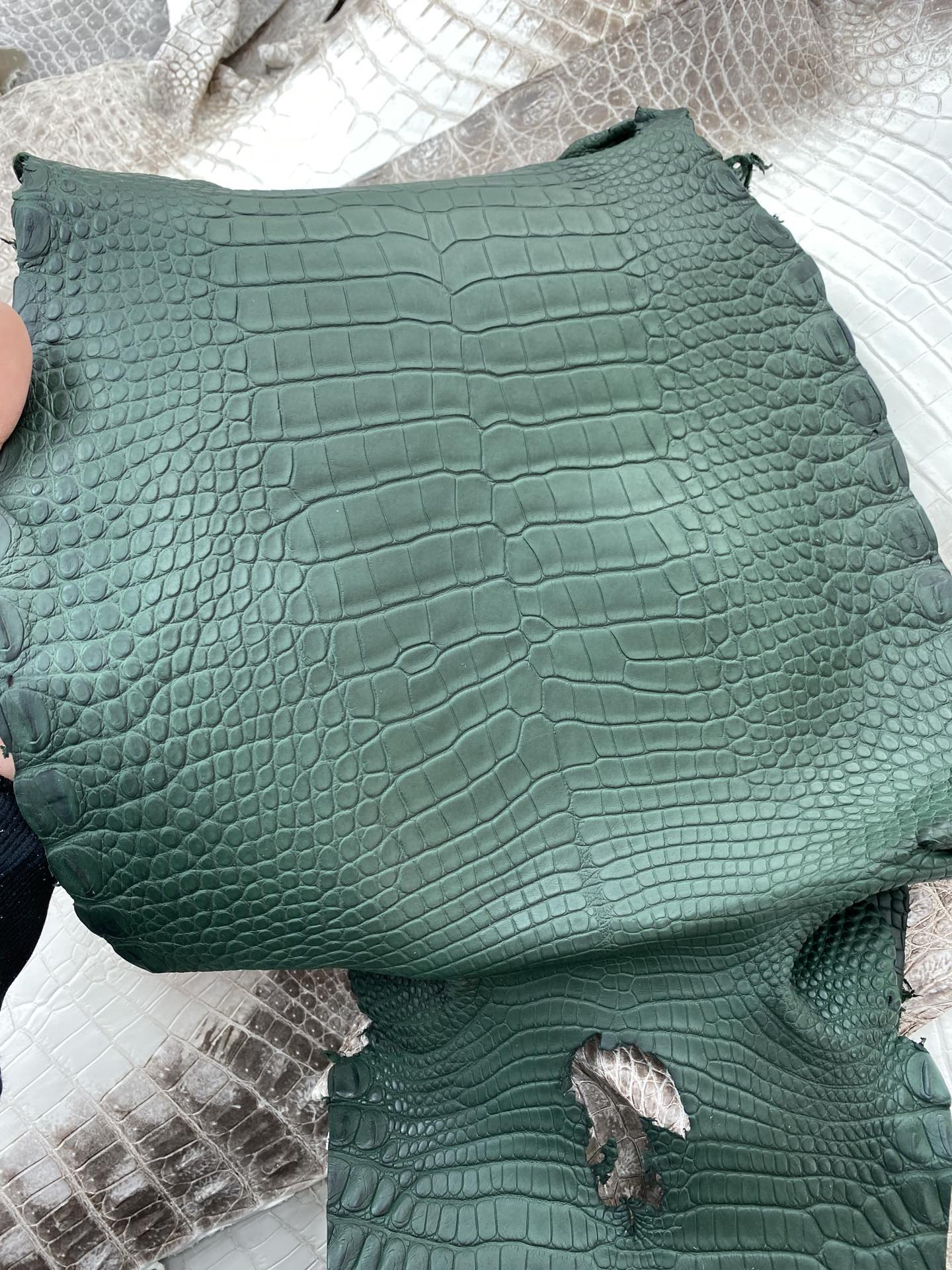 Hermès（爱马仕）新到鳄鱼 雾面鳄 孔雀绿 可定制