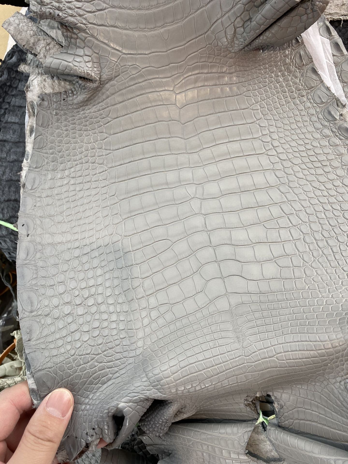 Hermès(爱马仕)新到鳄鱼 雾面鳄 珍珠灰 可定制-拉尔森鳄鱼皮具定制 - 爱马仕包包官网 Hermès(爱马仕)新到鳄鱼 雾面鳄 珍珠灰 可定制