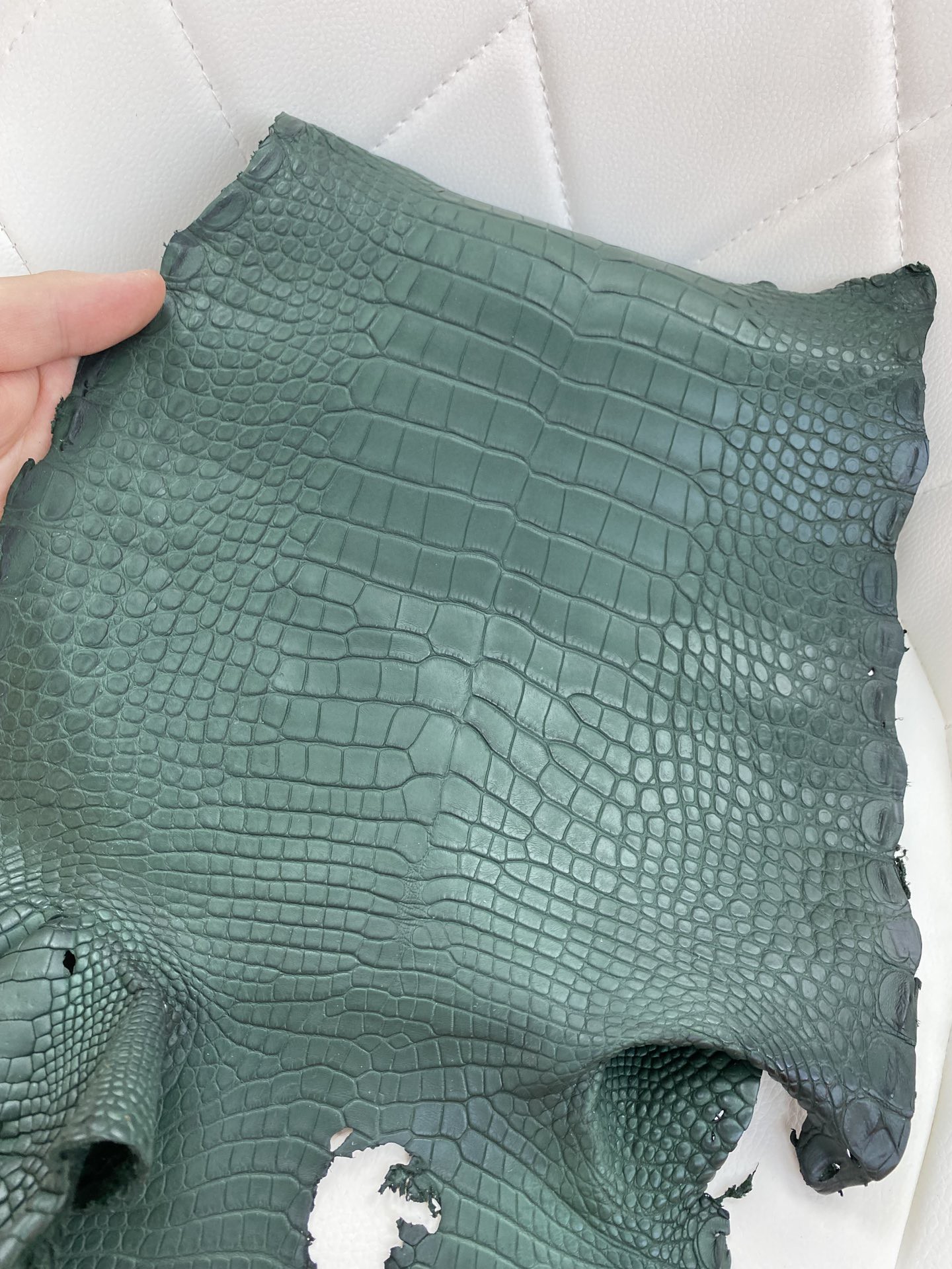 Hermès(爱马仕)新到鳄鱼 Alligator matt 雾面鳄鱼 6o 柏树绿-拉尔森鳄鱼皮具定制 - 爱马仕包包官网 Hermès(爱马仕)新到鳄鱼 Alligator matt 雾面鳄鱼 6o 柏树绿