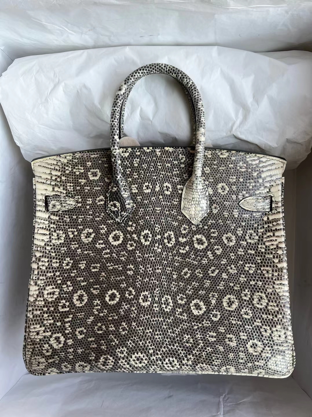 Hermès(爱马仕)Birkin 铂金包 蜥蜴皮 Lizard 01 自然色 银扣 25cm 顶级工艺 全手工缝制-拉尔森鳄鱼皮具定制 - 爱马仕包包官网 Hermès(爱马仕)Birkin 铂金包 蜥蜴皮 Lizard 01 自然色 银扣 25cm 顶级工艺 全手工缝制