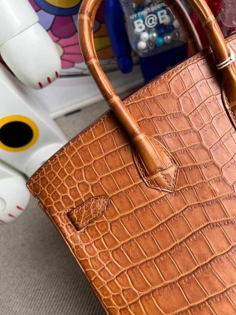 Hermès(爱马仕)Birkin 铂金包 porosus matt 雾面澳洲湾鳄 金棕色 金扣 25cm 顶级手缝-拉尔森鳄鱼皮具定制 - 爱马仕包包官网 Hermès(爱马仕)Birkin 铂金包 porosus matt 雾面澳洲湾鳄 金棕色 金扣 25cm 顶级手缝