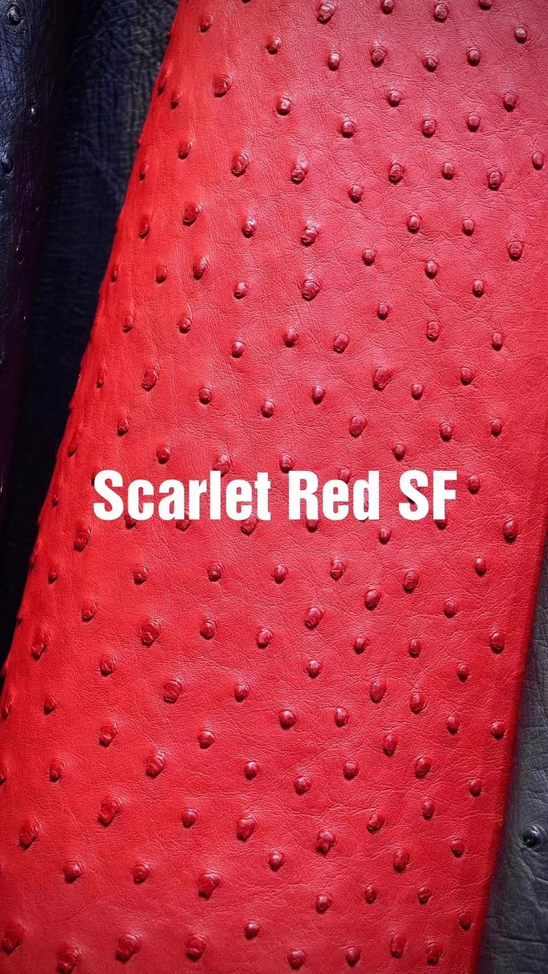 Hermès(爱马仕)新皮到货 进口kk鸵鸟皮 Ostrich Scarlet Red 可定制-拉尔森鳄鱼皮具定制 - 爱马仕包包官网 Hermès(爱马仕)新皮到货 进口kk鸵鸟皮 Ostrich Scarlet Red 可定制