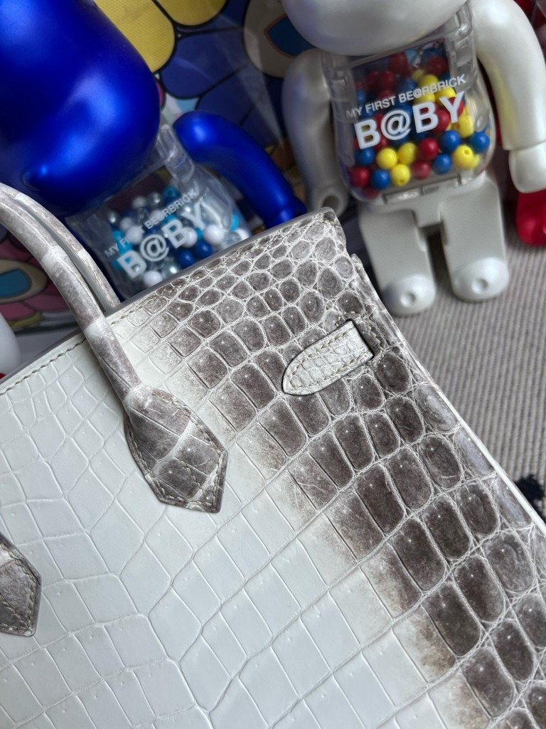Hermès(爱马仕)Birkin 铂金包 雾面鳄鱼 Himalaya 喜马拉雅 银扣 25cm-拉尔森鳄鱼皮具定制 - 爱马仕包包官网 Hermès(爱马仕)Birkin 铂金包 雾面鳄鱼 Himalaya 喜马拉雅 银扣 25cm
