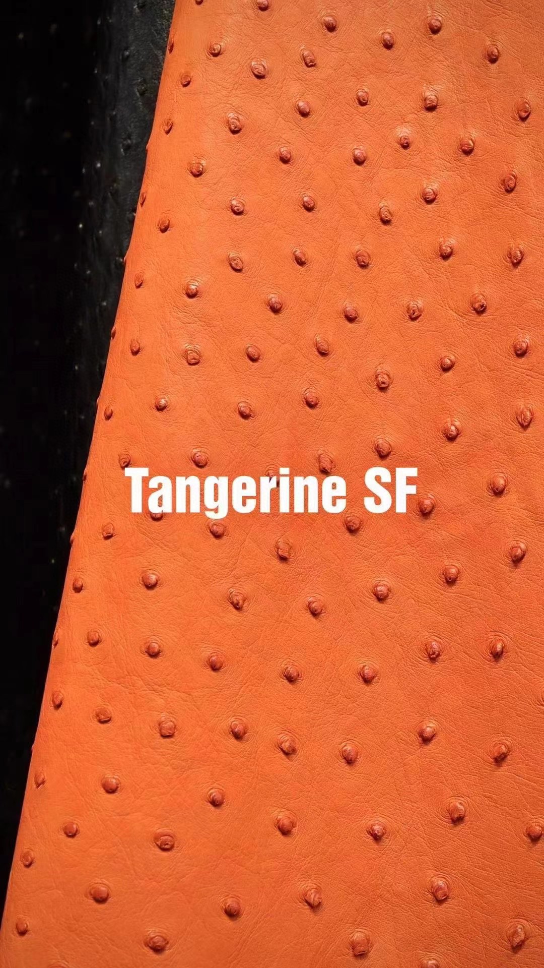 Hermès(爱马仕)新皮到货 进口kk鸵鸟皮 Ostrich 经典橙 Tangerine 可定制-拉尔森鳄鱼皮具定制 - 爱马仕包包官网 Hermès(爱马仕)新皮到货 进口kk鸵鸟皮 Ostrich 经典橙 Tangerine 可定制
