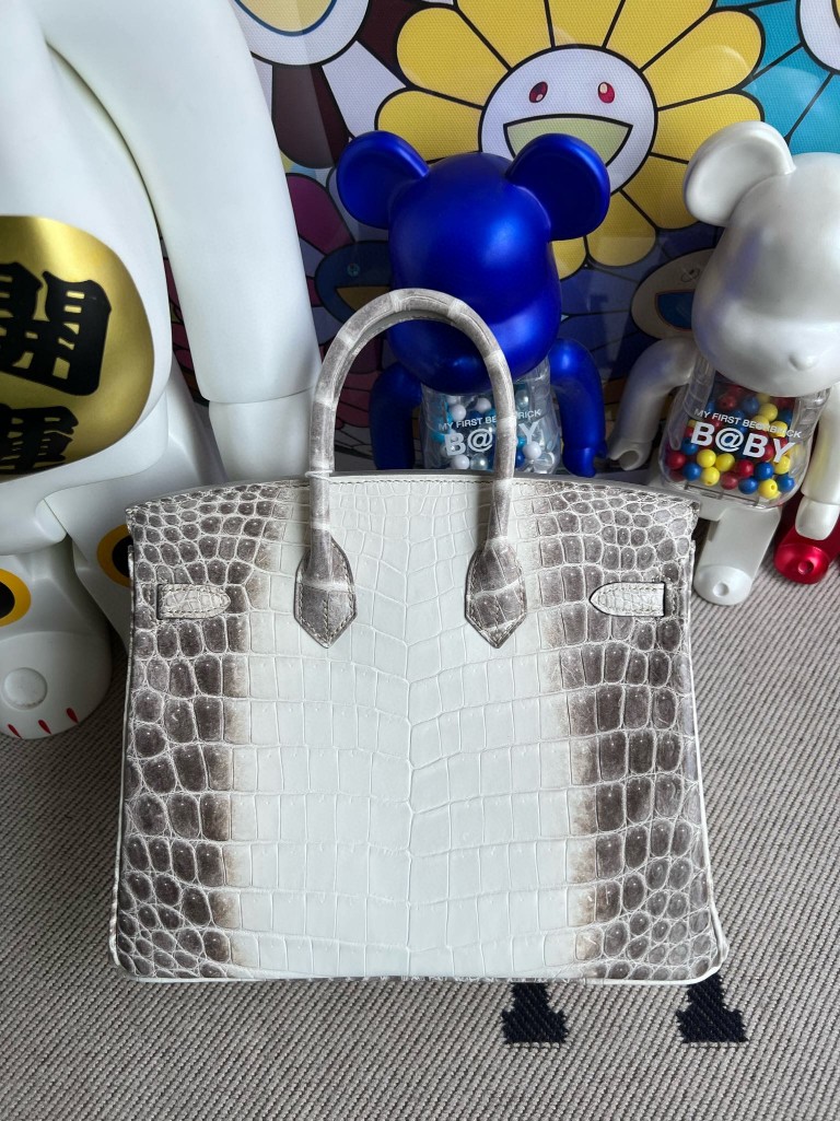 Hermès(爱马仕)Birkin 铂金包 雾面鳄鱼 Himalaya 喜马拉雅 银扣 25cm-拉尔森鳄鱼皮具定制 - 爱马仕包包官网 Hermès(爱马仕)Birkin 铂金包 雾面鳄鱼 Himalaya 喜马拉雅 银扣 25cm