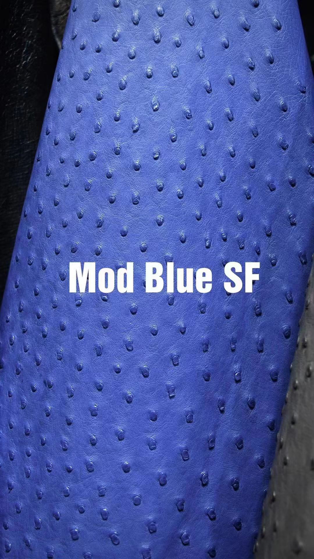 Hermès(爱马仕)新皮到货 进口kk鸵鸟皮 Ostrich Mod Blue 可定制-拉尔森鳄鱼皮具定制 - 爱马仕包包官网 Hermès(爱马仕)新皮到货 进口kk鸵鸟皮 Ostrich Mod Blue 可定制