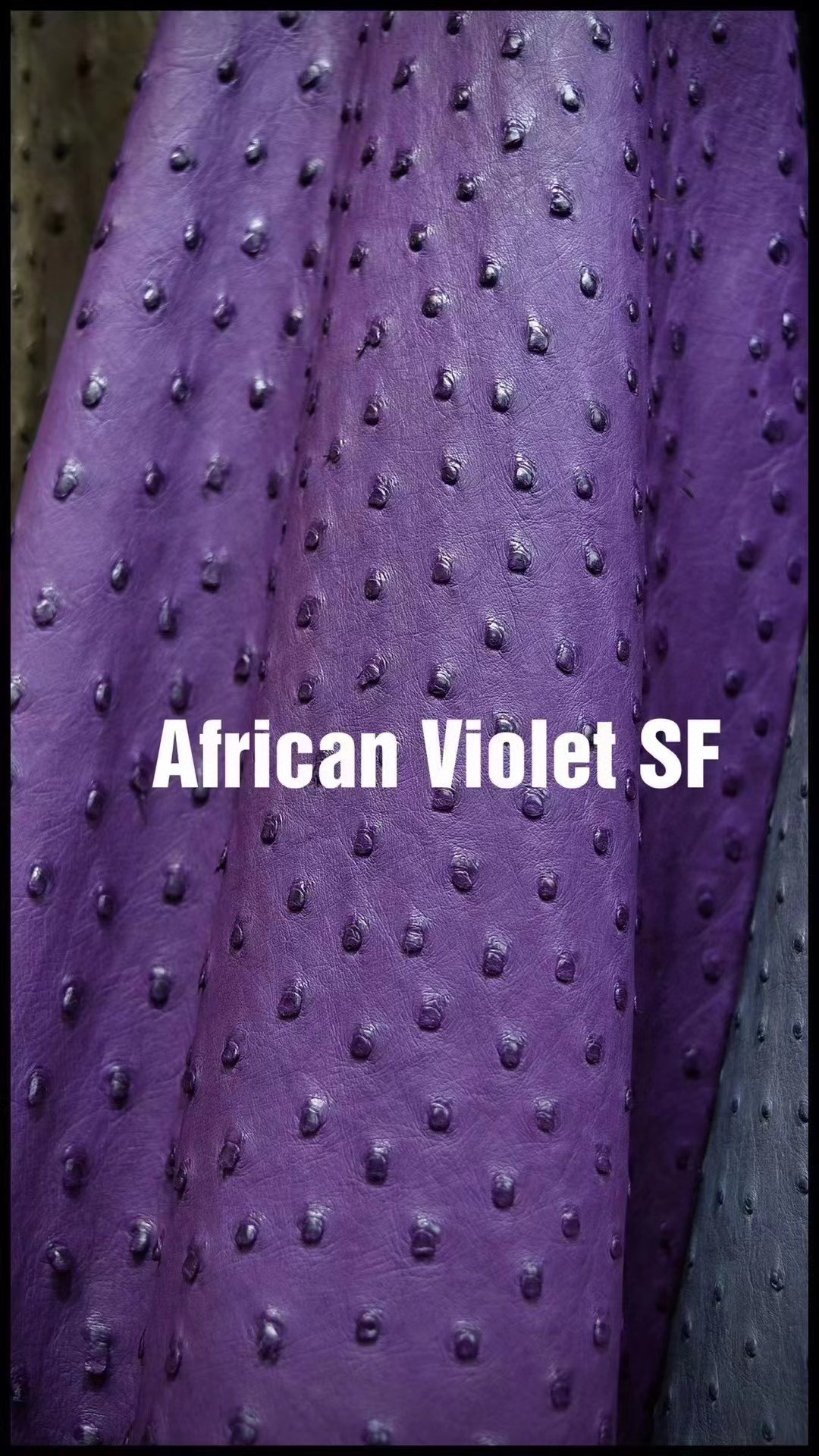 Hermès(爱马仕)新皮到货 进口kk鸵鸟皮 Ostrich African Violet 可定制-拉尔森鳄鱼皮具定制 - 爱马仕包包官网 Hermès(爱马仕)新皮到货 进口kk鸵鸟皮 Ostrich African Violet 可定制