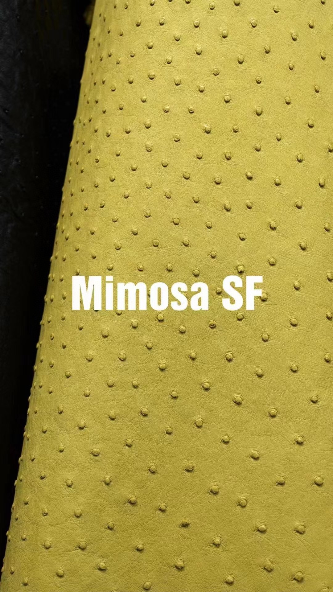 Hermès(爱马仕)新皮到货 进口kk鸵鸟皮 Ostrich Mimosa 可定制-拉尔森鳄鱼皮具定制 - 爱马仕包包官网 Hermès(爱马仕)新皮到货 进口kk鸵鸟皮 Ostrich Mimosa 可定制