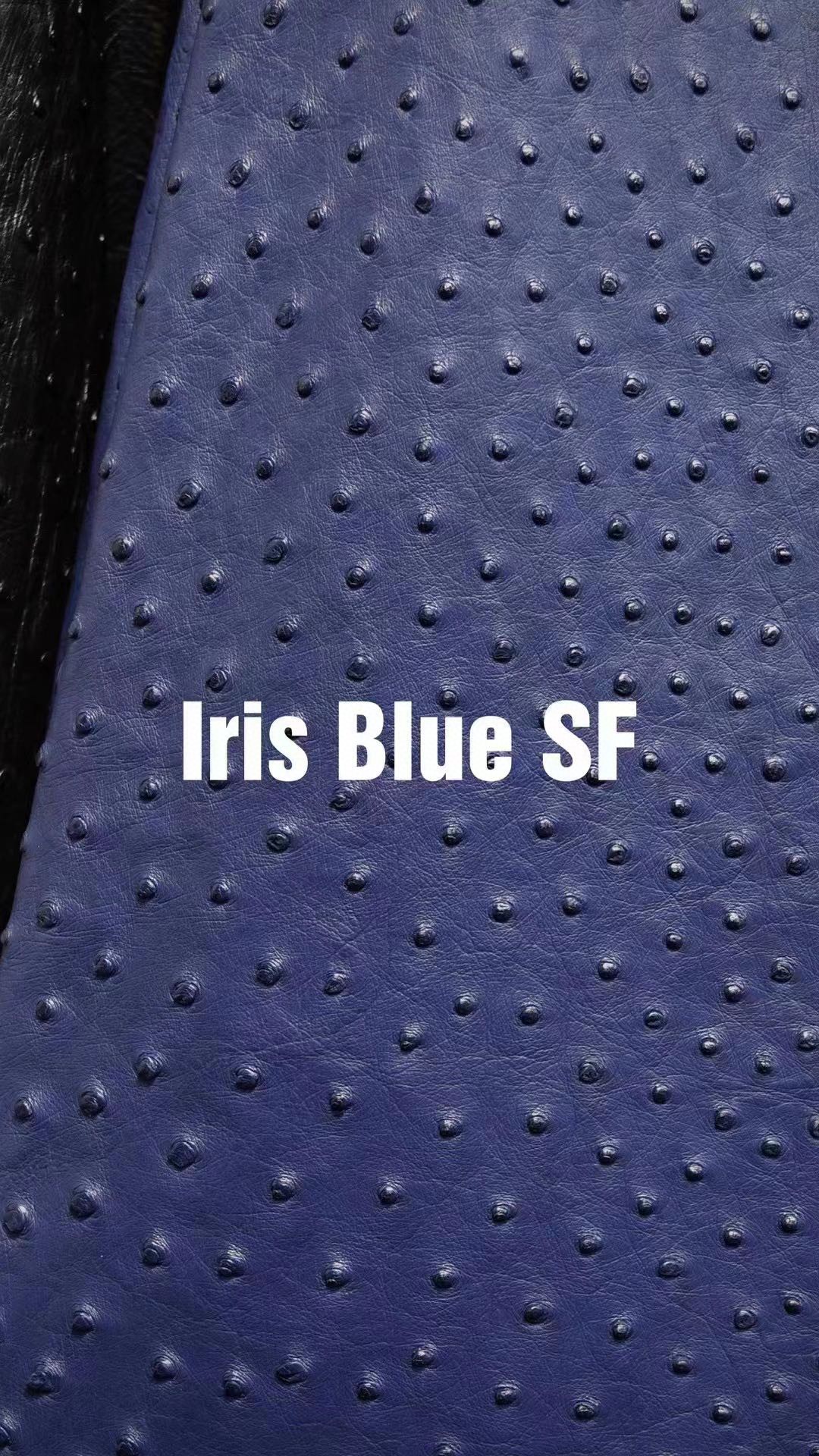 Hermès（爱马仕）新皮到货 进口kk鸵鸟皮 Ostrich Iris Blue 可定制
