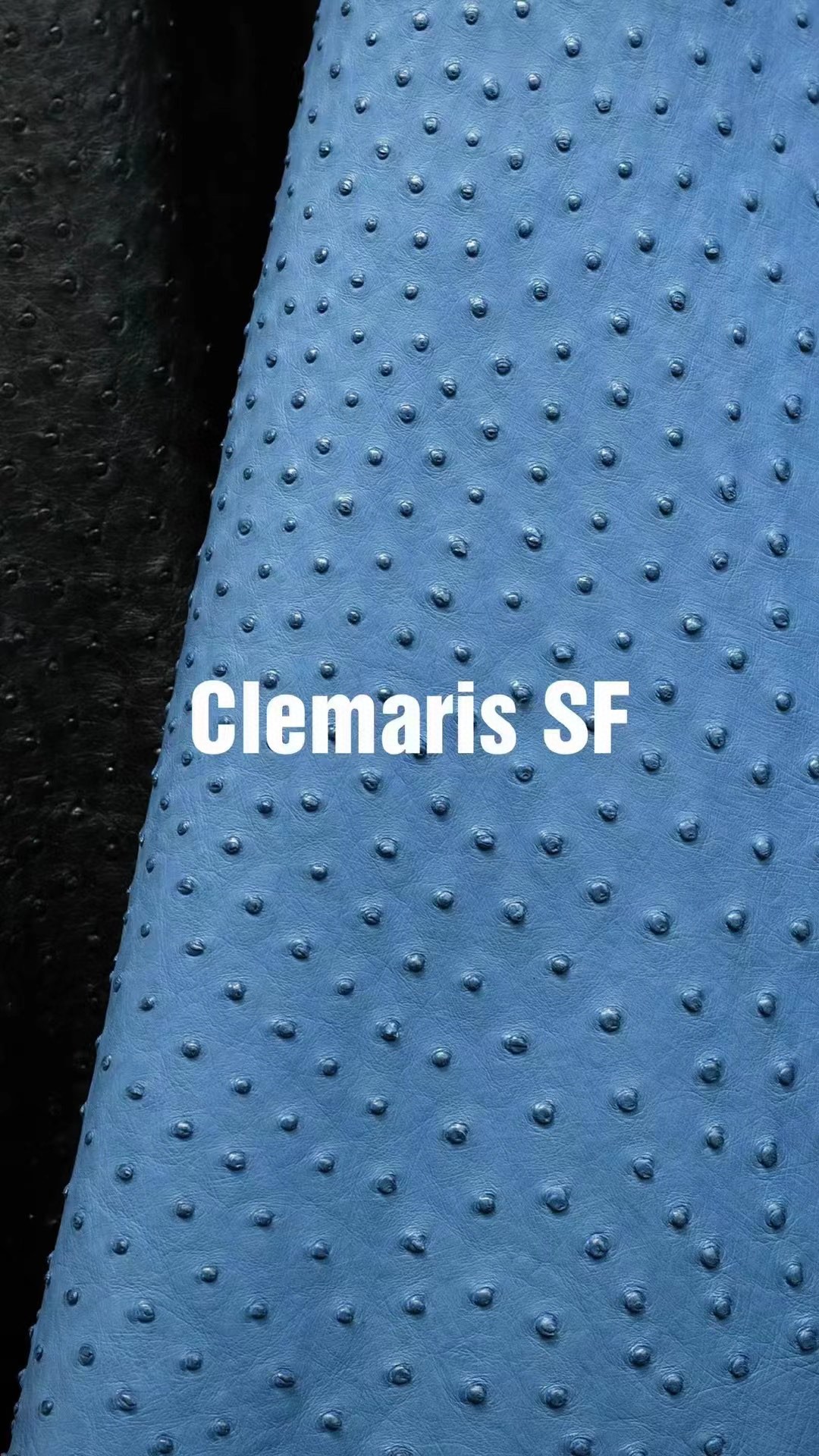 Hermès(爱马仕)新皮到货 进口kk鸵鸟皮 Ostrich Clemaris 可定制-拉尔森鳄鱼皮具定制 - 爱马仕包包官网 Hermès(爱马仕)新皮到货 进口kk鸵鸟皮 Ostrich Clemaris 可定制