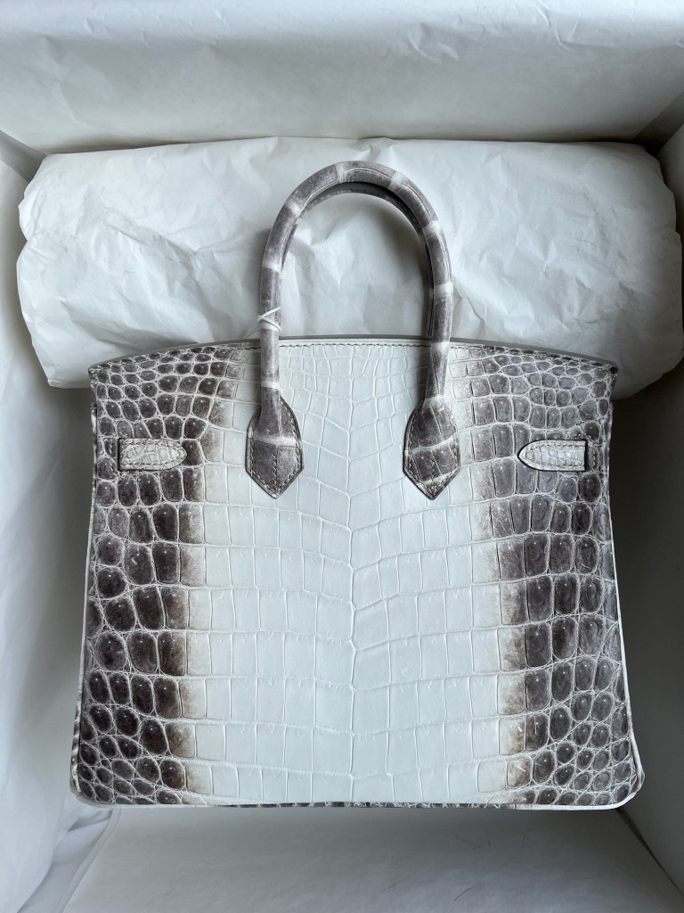 Hermès(爱马仕)Birkin 铂金包 雾面鳄鱼 Himalaya 喜马拉雅 银扣 25cm-拉尔森鳄鱼皮具定制 - 爱马仕包包官网 Hermès(爱马仕)Birkin 铂金包 雾面鳄鱼 Himalaya 喜马拉雅 银扣 25cm