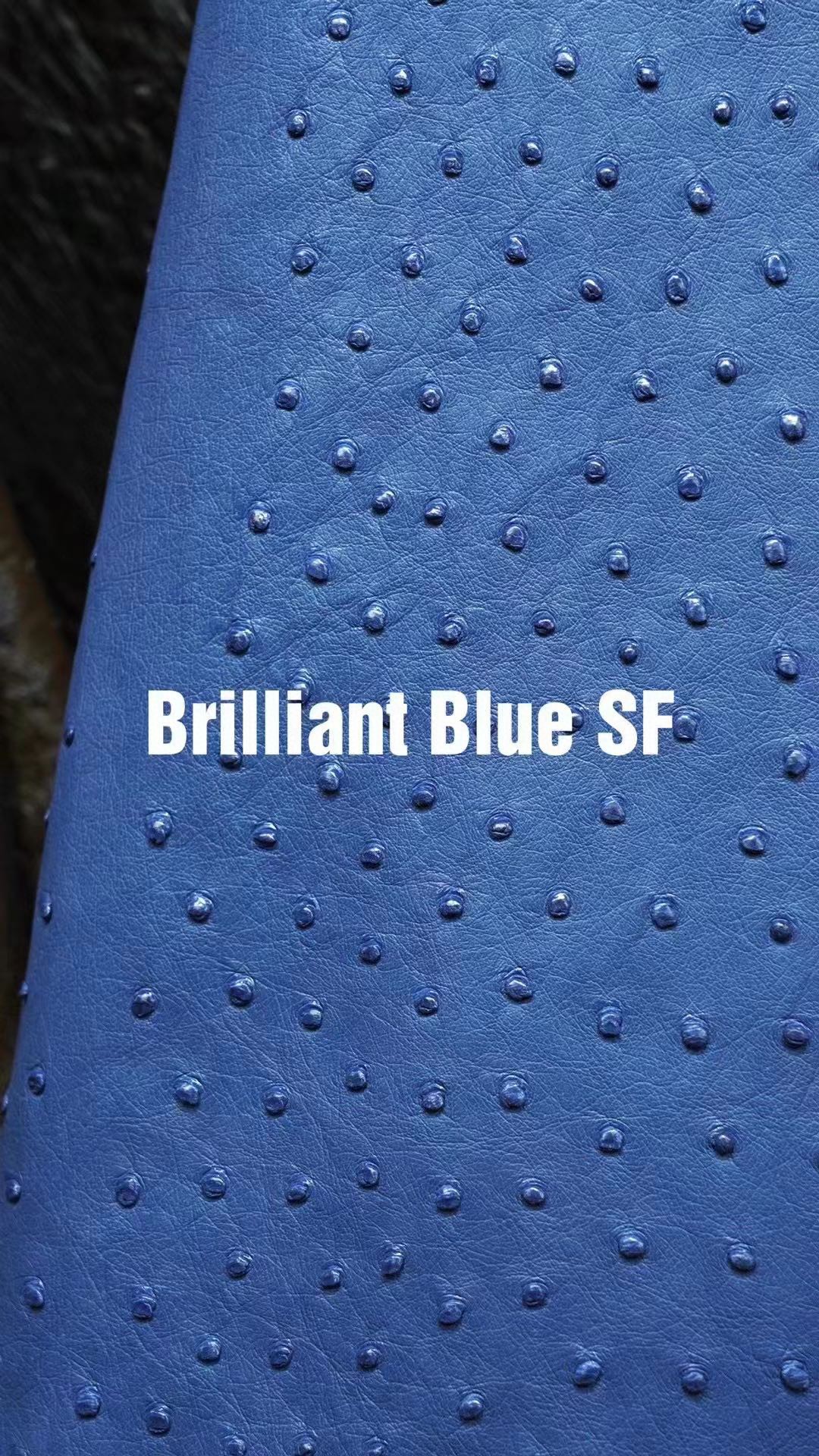 Hermès（爱马仕）新皮到货 进口kk鸵鸟皮 Ostrich Brilliant Blue 可定制
