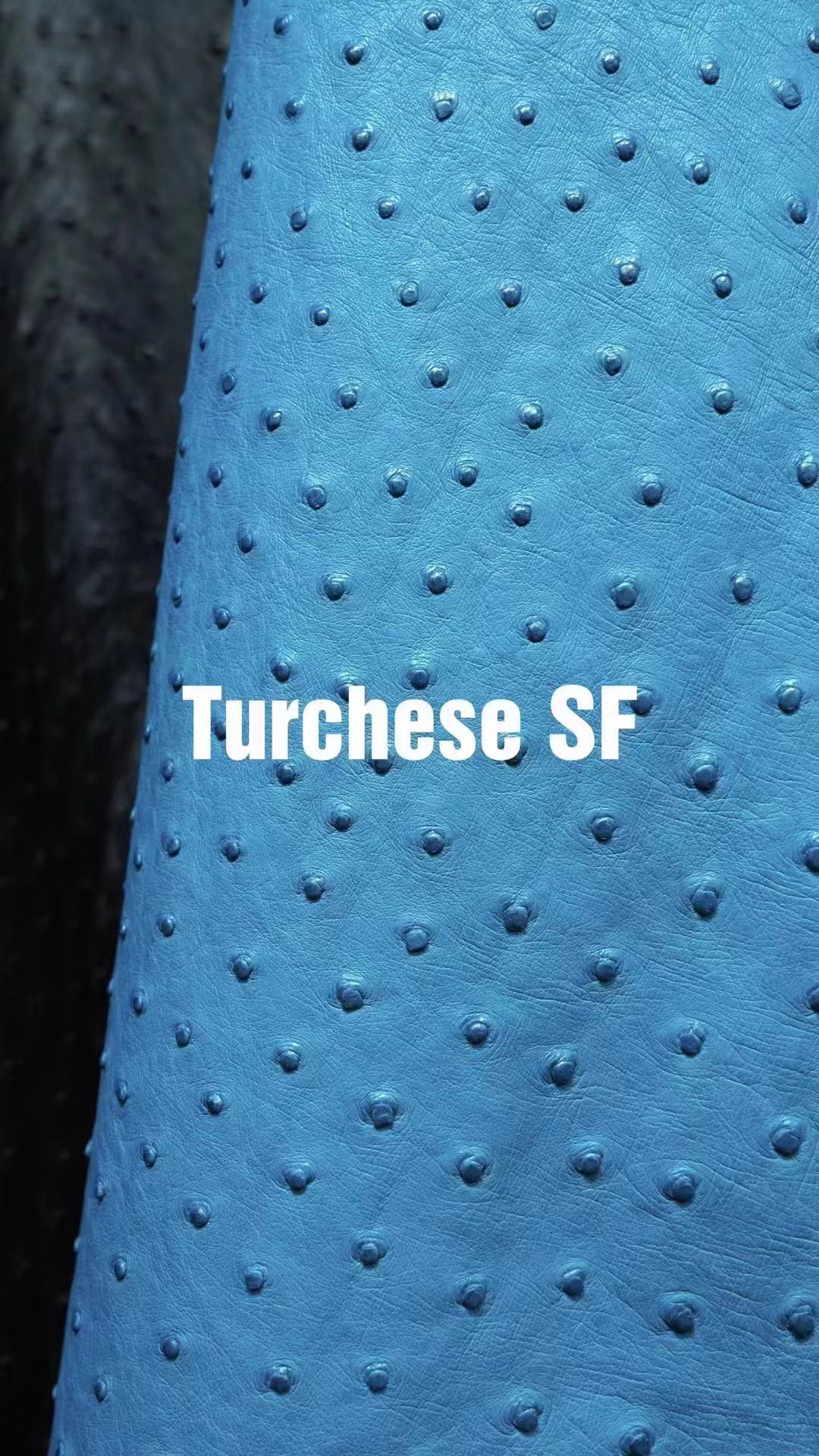 Hermès（爱马仕）新皮到货 进口kk鸵鸟皮 Ostrich Turchese 可定制