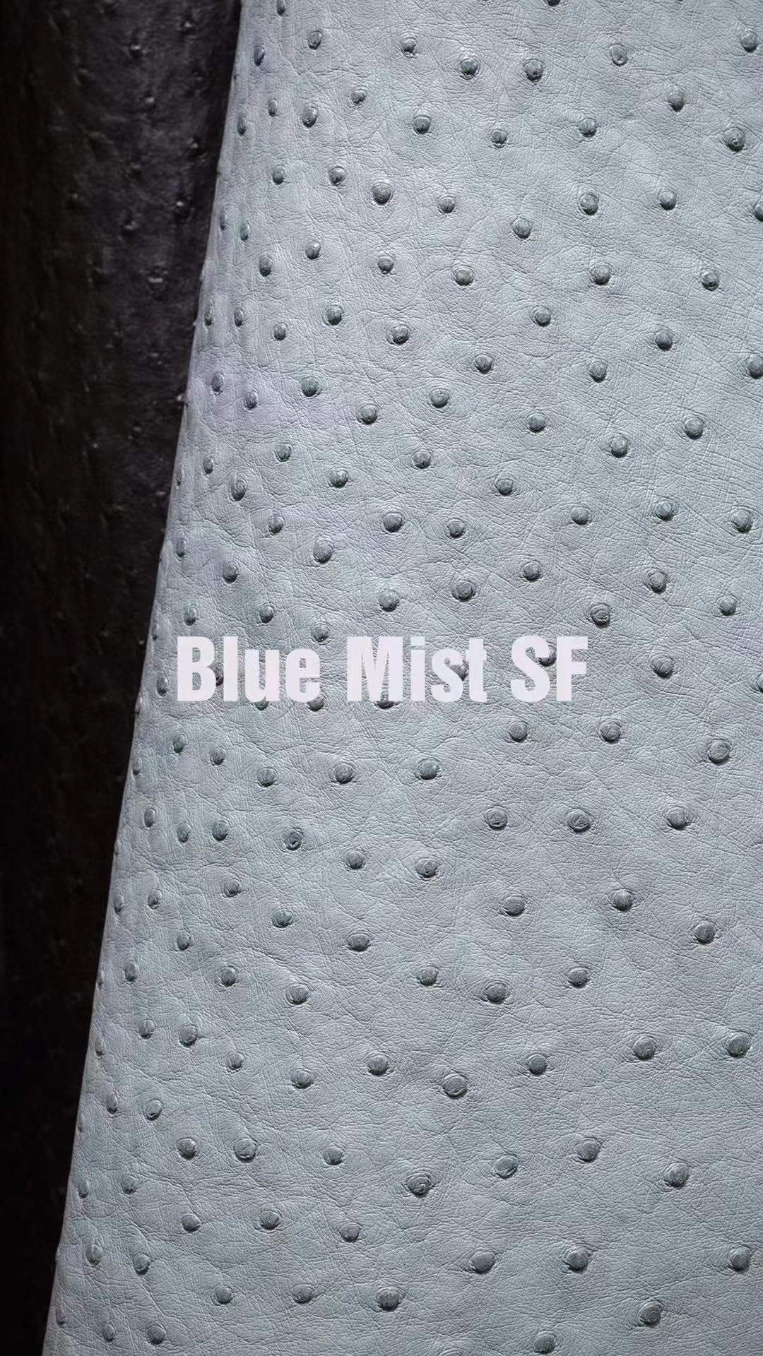 Hermès(爱马仕)新皮到货 进口kk鸵鸟皮 Ostrich Blue Mist 可定制-拉尔森鳄鱼皮具定制 - 爱马仕包包官网 Hermès(爱马仕)新皮到货 进口kk鸵鸟皮 Ostrich Blue Mist 可定制