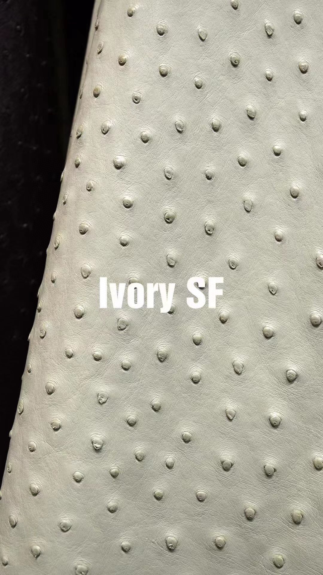 Hermès(爱马仕)新皮到货 进口kk鸵鸟皮 Ostrich Ivory 可定制-拉尔森鳄鱼皮具定制 - 爱马仕包包官网 Hermès(爱马仕)新皮到货 进口kk鸵鸟皮 Ostrich Ivory 可定制
