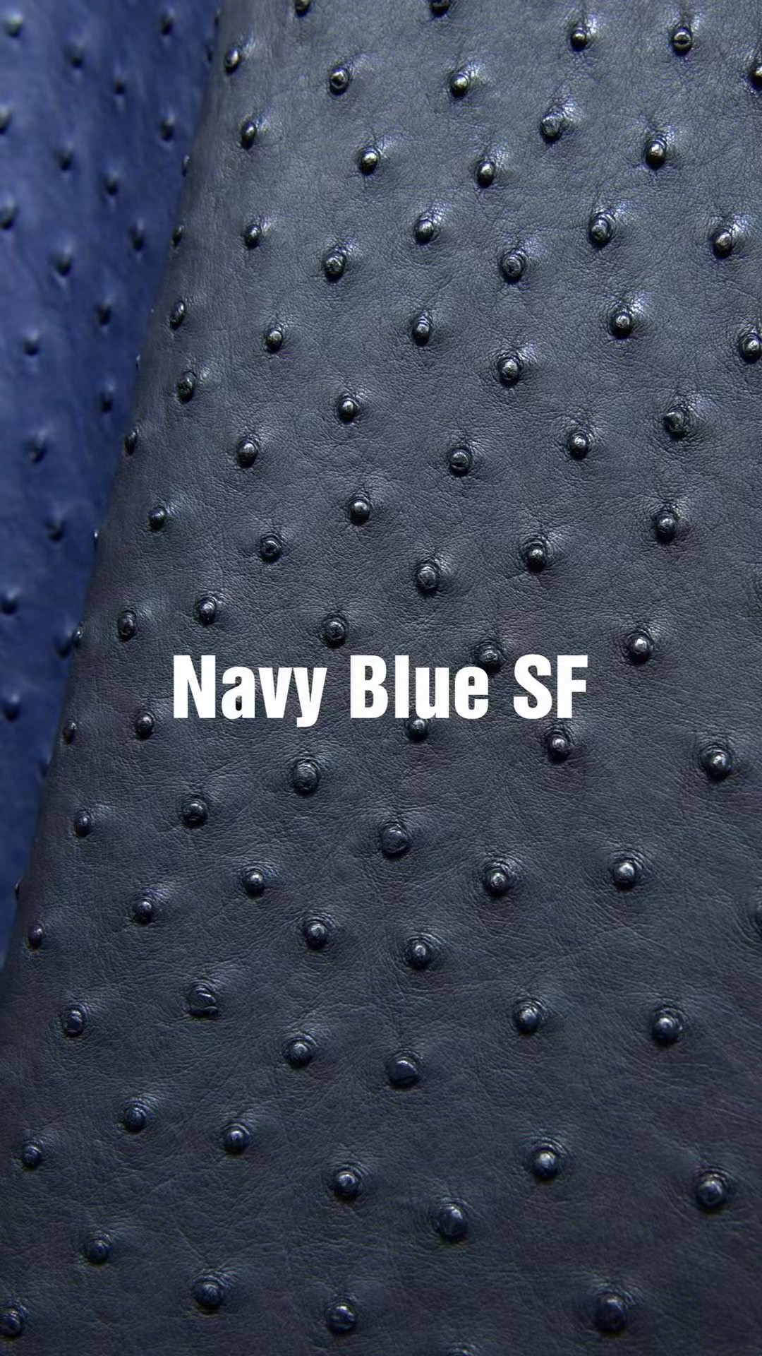 Hermès(爱马仕)新皮到货 进口kk鸵鸟皮 Ostrich Navy Blue 可定制-拉尔森鳄鱼皮具定制 - 爱马仕包包官网 Hermès(爱马仕)新皮到货 进口kk鸵鸟皮 Ostrich Navy Blue 可定制