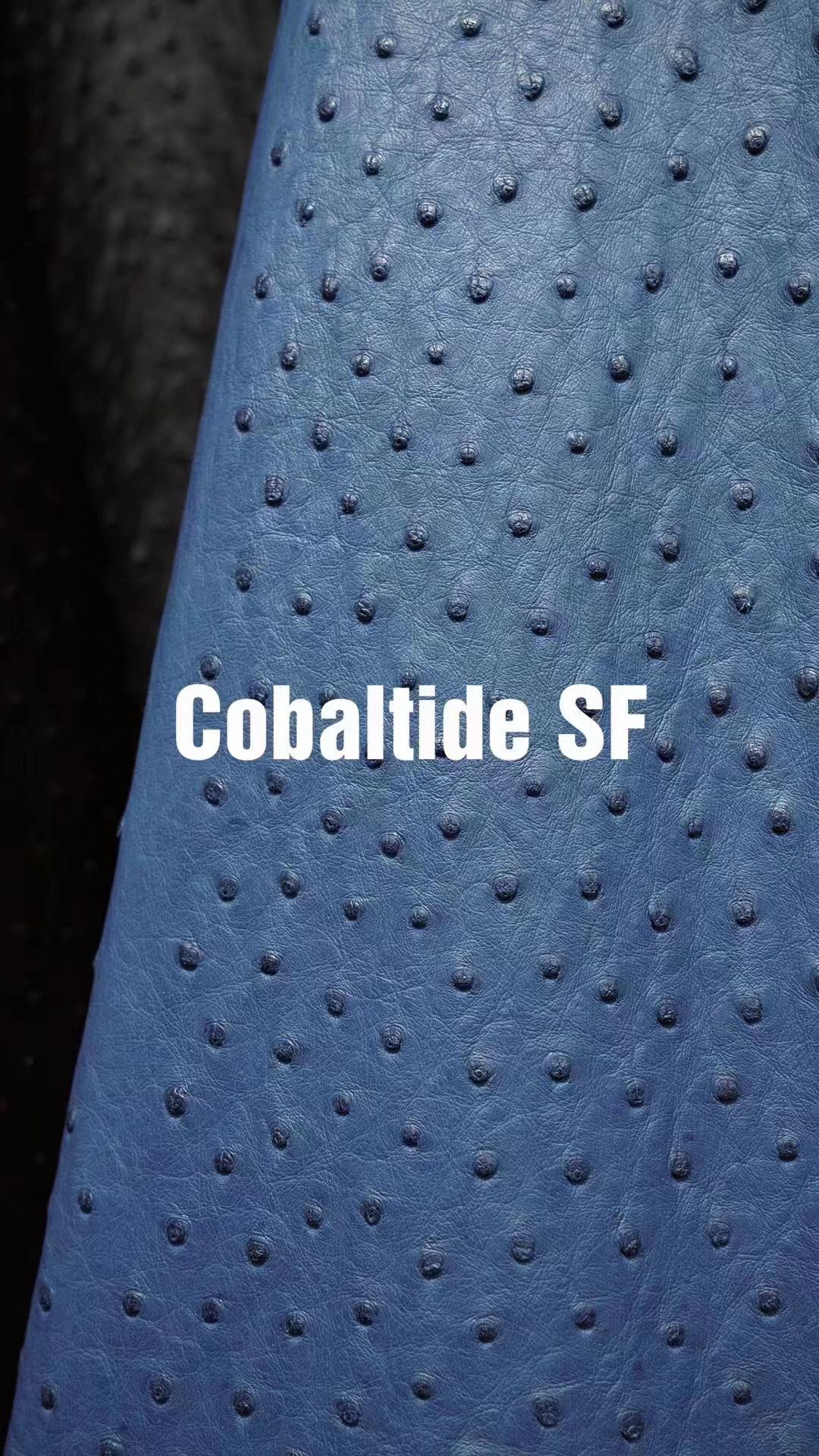 Hermès(爱马仕)新皮到货 进口kk鸵鸟皮 Ostrich Cobaltide 可定制-拉尔森鳄鱼皮具定制 - 爱马仕包包官网 Hermès(爱马仕)新皮到货 进口kk鸵鸟皮 Ostrich Cobaltide 可定制